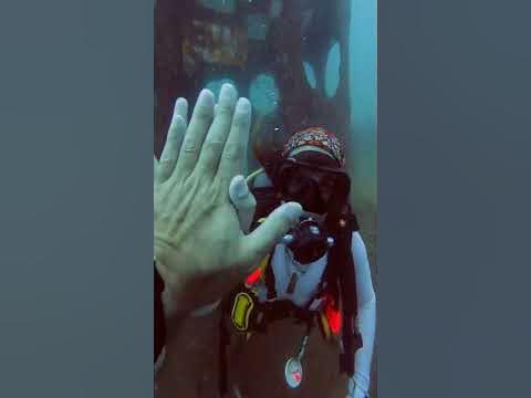 She said she will DIVE NAKED for her 100 Dive Scuba Diving in Koh Tao