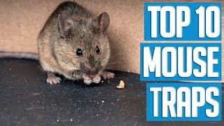 Best Mouse Traps 2019 | TOP 10 Mouse Trap 🌟