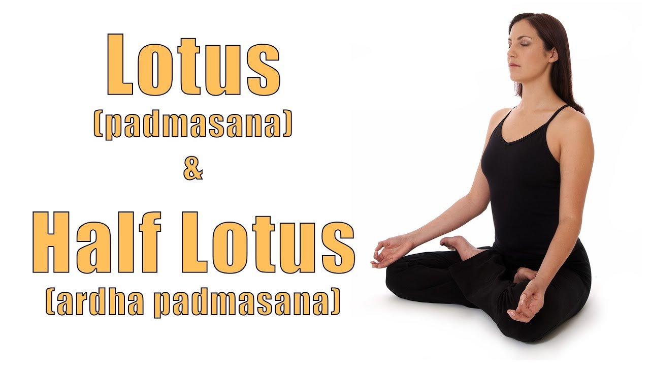 Hatha Yoga Lotus (Padmasana) and Half Lotus (Ardha Padmasana) Poses -  YouTube