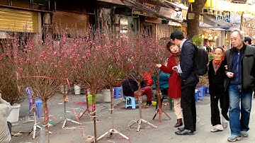 Thời tiết dịp Tết Nguyên đán Mậu Tuất thuận lợi cho việc du Xuân