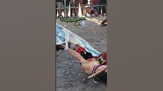 kesurupan jaranan Ndadi kuda Lumping Terjatuh #shorts #jaranan #kudalumping #jarananndadi #jathilan