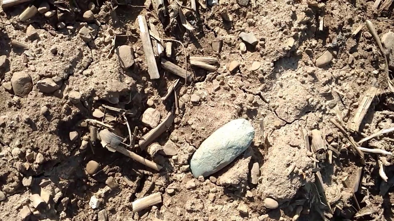 Arrowhead Hunting 2017 - Chisel