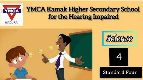 பசுமை சுற்றுச்சூழல் | Green Environment | Science | Std IV