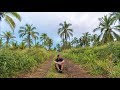 10 DAYS IN HAWAII - Jacub Gomez