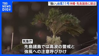台風11号 沖縄・先島諸島に接近、「強い」勢力 高波・強風に警戒｜TBS NEWS DIG