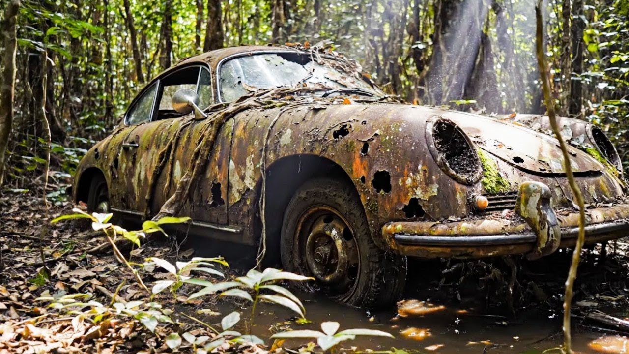 “Recovery of an Abandoned Car in the Jungle”
