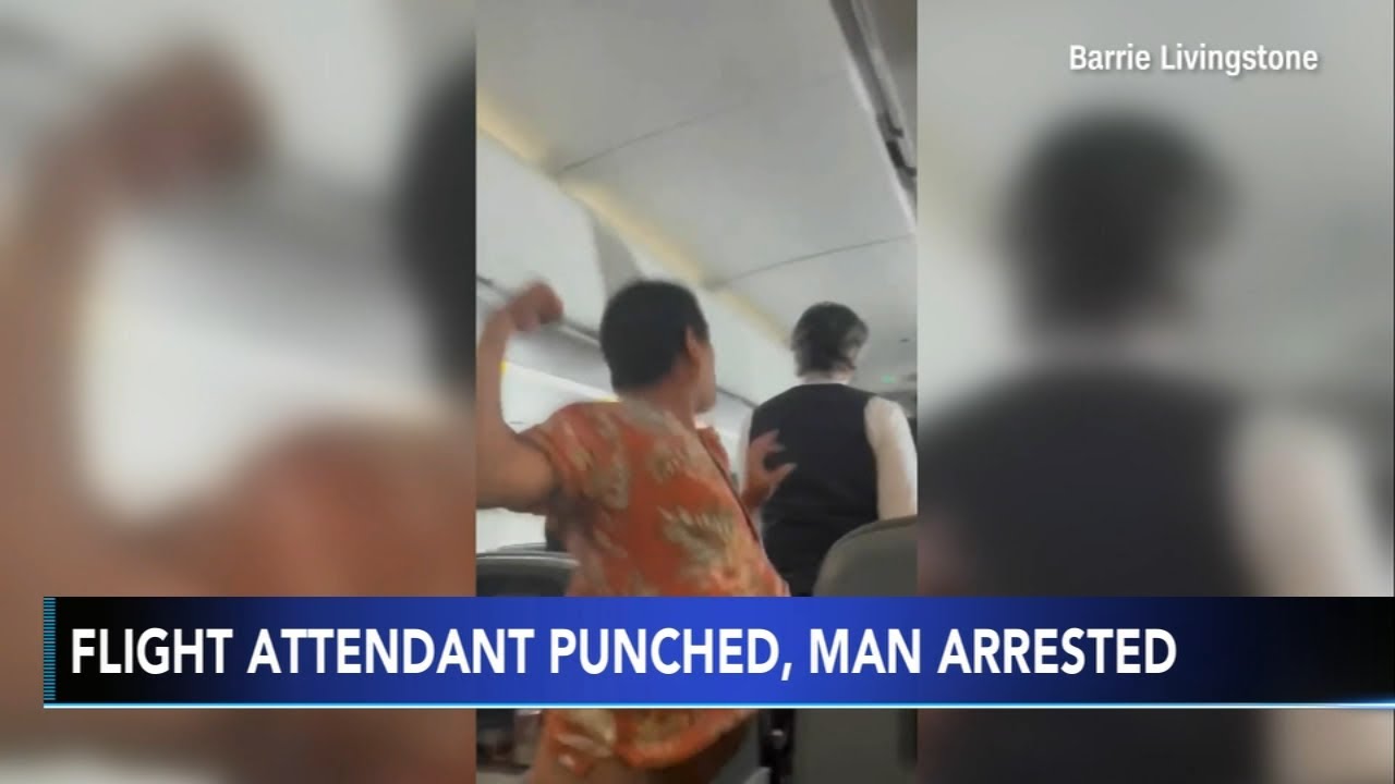 American Airlines passenger arrested after seen punching a flight