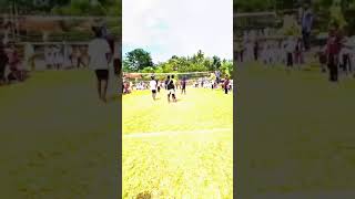 F9F59850 8EE1 41FF 8780 CA9C6C8D7DE8
