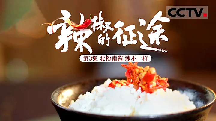 【ENGSUB】《辣椒的征途》第3集 吃辣也有南北之爭？北粉南醬 辣不一樣！【CCTV紀錄】 - 天天要聞