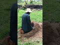 Crazy Kenyan