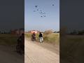 Farmer amazing hunting for wild crow 🐦⬛😱.#hunting #birds#crow##asmr #ytshorts