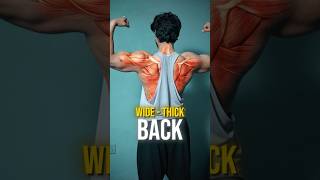 From Zero Pull-Ups To Six The Exact Progression