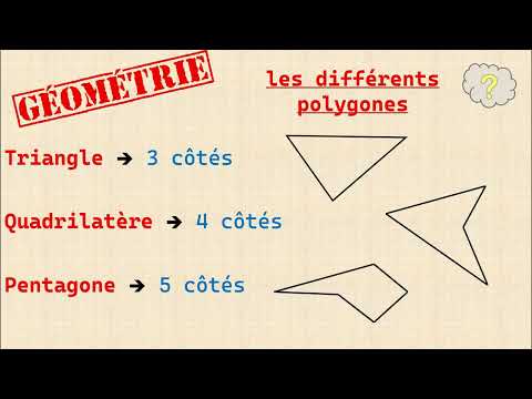 Comment appelle t on les différents polygones