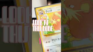 Slowpoke Collection