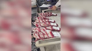 South Texas Blood & Tissue crews rush blood to Austin hospitals amid mass shooting