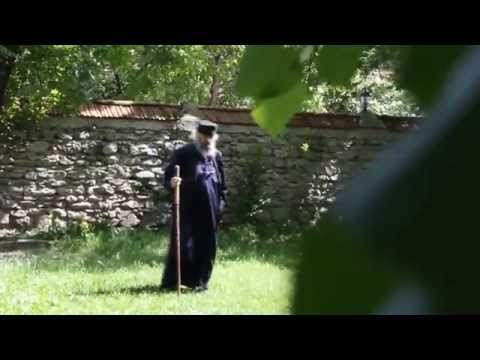 მიტროპოლიტი ელისე