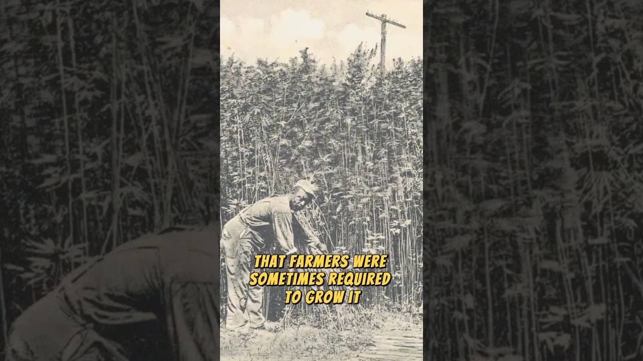 George Washington had a Weed Farm?