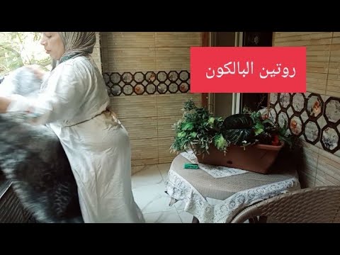 روتين يومي في البالكون