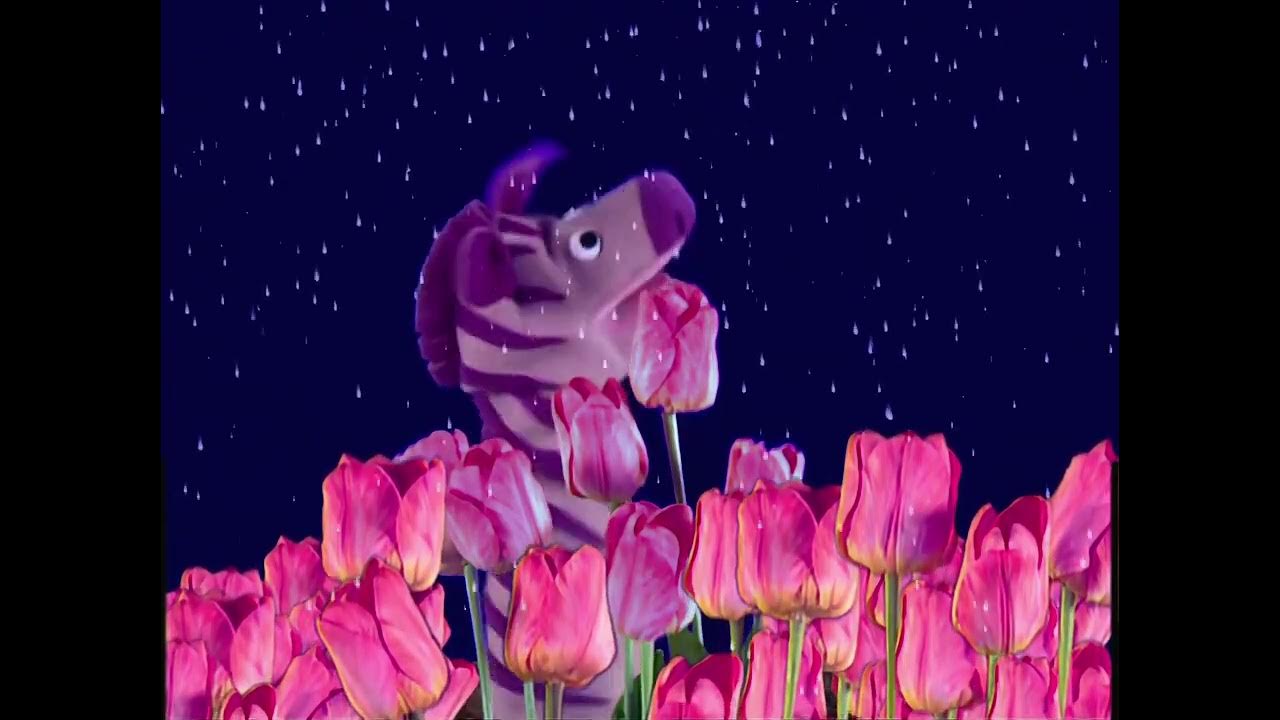 Closing to baby monet 2005 dvd better quality youtube