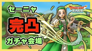 【【ドラクエタクト】セーニャ完凸ガチャ会場【廃課金】
