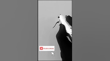 Mudassir name in Urdu #shorts #youtubeshorts #urducalligraphy #art #learnurduwriting