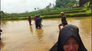 Aksinya Bikin Ngakak Warga Se-NKRI! Momen² Lucu Lomba 17 Agustus Darmareja Nagrak Sukabumi