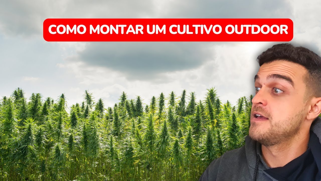 Como montar um cultivo outdoor em casa