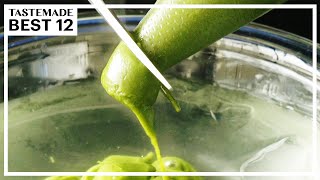 アンコールにお答えします！抹茶好きさんに贈る抹茶レシピ BEST12