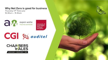 Why Net Zero is good for business