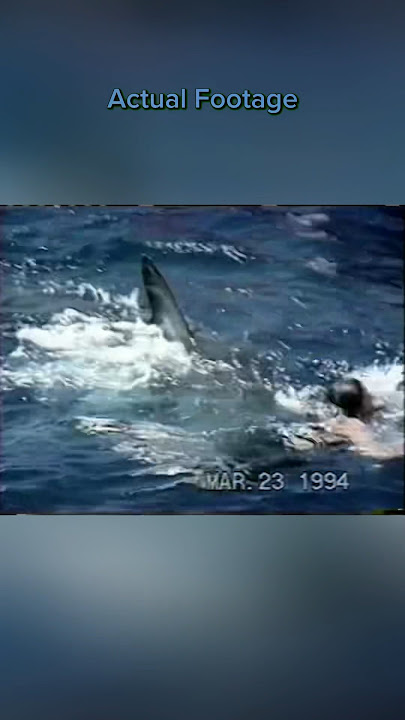 Great White Shark Attack Caught on Camera | Shark Attack Files