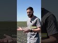 Weeds don’t wait, and neither do we 🚜 #organicfarming #poljoprivreda  #farming #weedcontrol