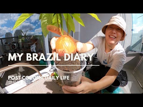 BRAZIL VLOG: Teste pcr, compras no supermercado, churrascaria, organizando vasosㅣmy brazil diary