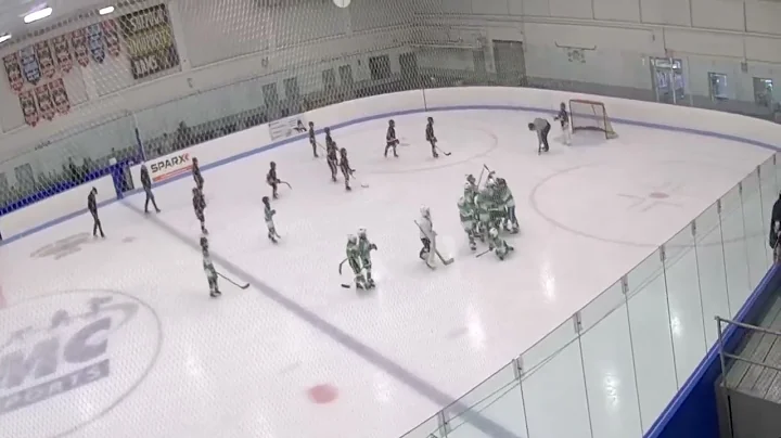 Mite Penalty Shot