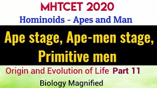 Origin & Evolution of Life for MHTCET 2020 | Hominoidea- Apes & Man | MHTCET biology lecture | MCQs screenshot 2