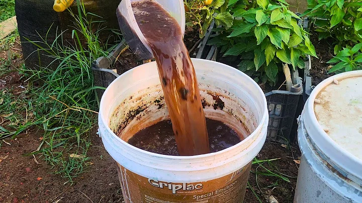 The most effective organic liquid fertilizer for tomatoes, onions, & cucumbers! Just 2 ingredients