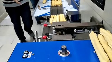 Three Servos Pillow Packing Machine using WECON HMI and PLC