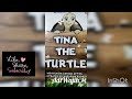 Sindhi translation of tina the turtle a mischief turtle story sindhi stories animals dharti