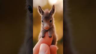 the smallest animal in the world goes viral#shorts #viral #animals