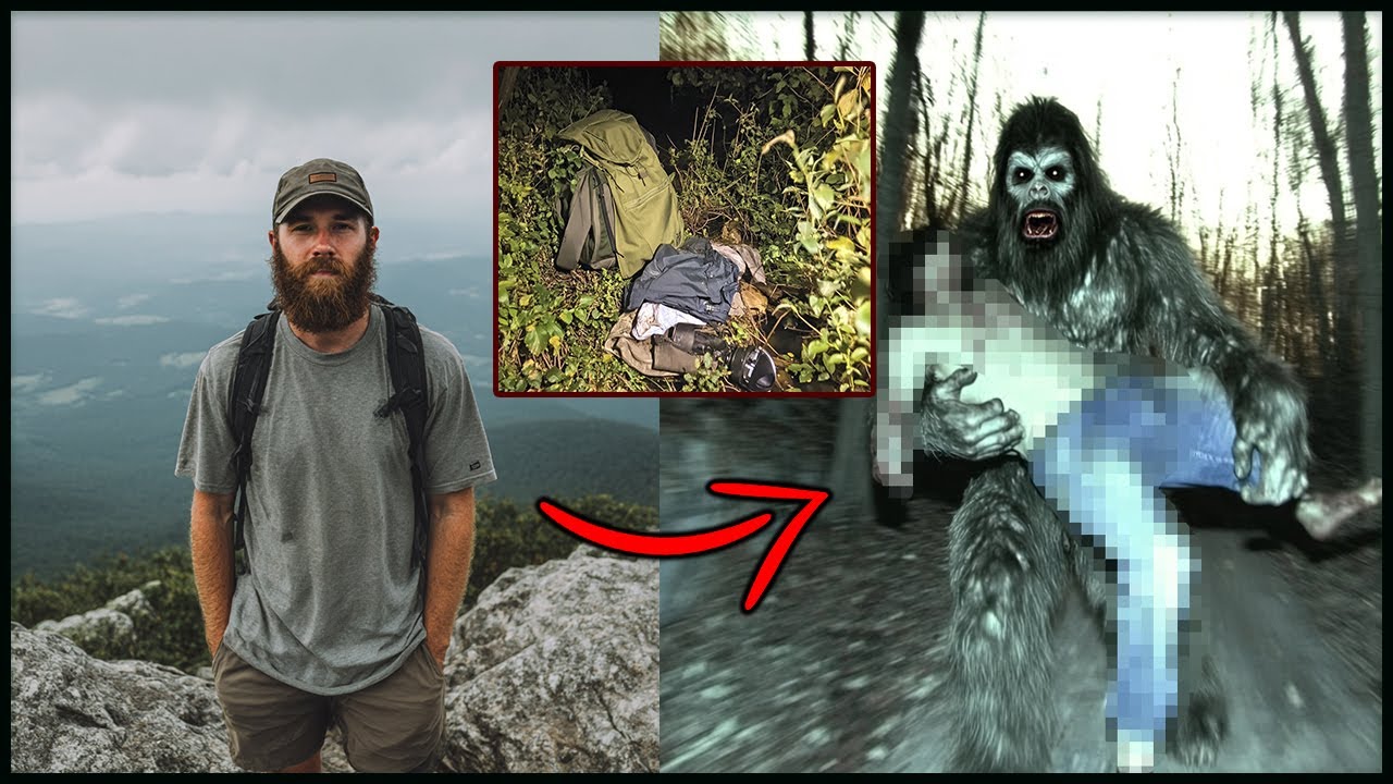Турист Исчез в Аппалачах — Вещи Нашли в Кустах, Свидетели Говорили о Жутком Существе