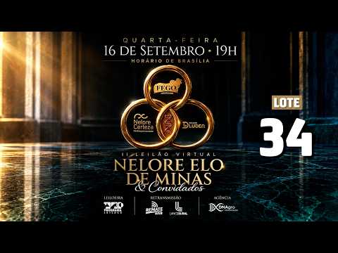 LOTE 34   FHGA 486