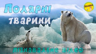 картинка: ПОЛЯРНЫЕ ЖИВОТНЫЕ, их звуки и голоса | РАЗВИВАЮЩИЕ ВИДЕО ДЛЯ ДЕТЕЙ
