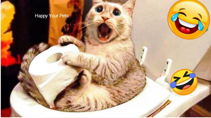 Watch the video about Funny Cats Fails Compilation! Funniest Cats And Dogs 2025 #396