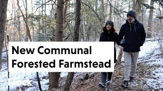 A New COMMUNAL FOREST HOMESTEAD in the Works — Ep. 227