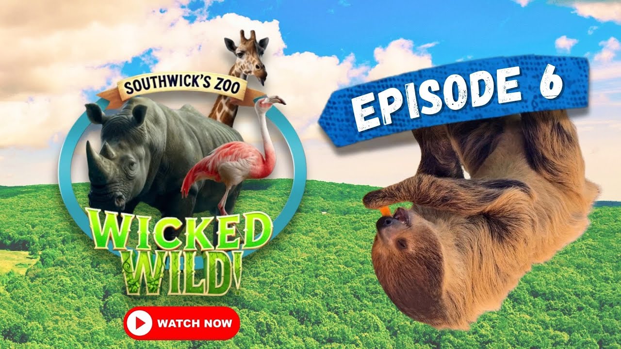 Episode 6: Wild Lessons (Wicked Wild: Inside New England's Biggest Zoo)