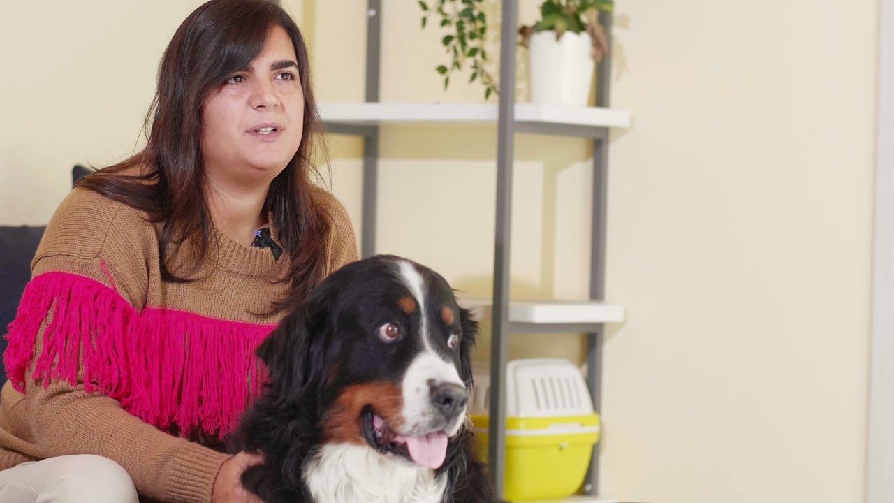 L' Allevatrice Alice spiega i benefici di REAL BOWL! Il miglior cibo per un Chihuahua ed un Bovaro.