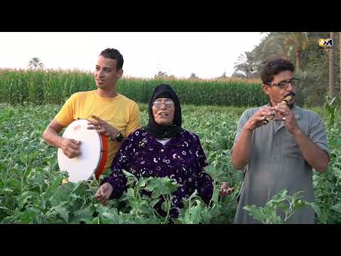 انا شرقاويه ياولا انا شرقاوية الحجه نبيله بتتحدى فنانيين مصر والوطن العربى