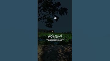 تلاوة هادئة بصوت الشيخ ياسر الدوسري راحه نفسيه ❤️