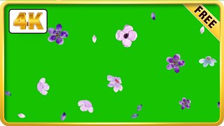 Purple Flowers Falling green screen video loops