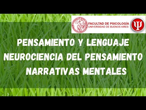 Vídeo: Pensamientos De Nuestro Coeditor Rebelde - Matador Network