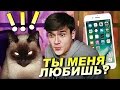 РАЗГОВАРИВАЮ С МОЕЙ КОШКОЙ | Talking with my cat